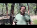FITAG UGT Campaña en Defensa del Sector Forestal Visita Pinos Resineros FITAG UGT Campaña en Defensa del Sector Forestal Visita Pinos Resineros
