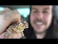 Tornadoes Of 2017 Adventure In Tornado Alley Tornadoes Of 2017 Adventure In Tornado Alley