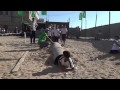 الحرب