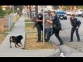 Police Shoot and Kill Dog in Front of Owner (Graphic Video)