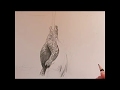 How to Draw Godzilla, King of the Monsters - 2019