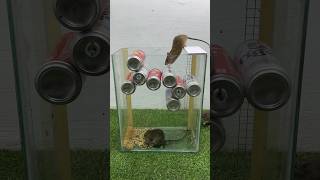 Top Ideas For Homemade Mouse Traps Using Cans // Mouse Trap 2 #Rattrap #Rat #Mousetrap #Shorts