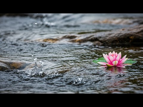 Beauty Relaxing River Sounds for Sleep, Meditation, Stress Relief & Deep Focus