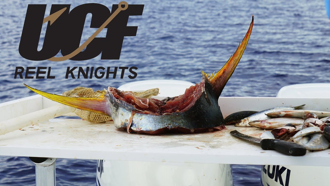UCF Reel Knights
