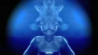 Watch Siouxsie Into A Swan video
