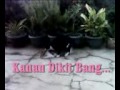 Bintang Bokep Terbaru images Bintang Bokep Terbaru