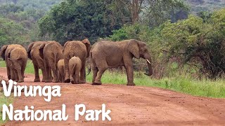 Exploring The Wonders Of Virunga National Park