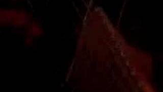 Watch Sepiamusic Fall Into Me video