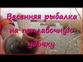 Красивый закат, пара сазанчиков и жизнерадостные ондатры. Красивый закат, пара сазанчиков и жизнерадостные ондатры.