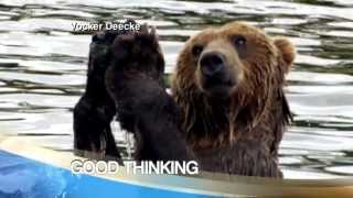 Funny Animal Videos Bear Taking Bath Caught On Camera