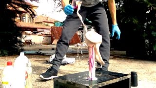 4 Modi per fare il Dentifricio dell'Elefante