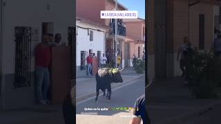 😱Tiene Hojas🌿 En La Cabeza Del Toro Bravo En La Seca Valladolid #Shorts