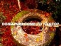 【CLICKCLICKCLICK】MOMIJI IN KYOTO 京都の紅葉【外交】