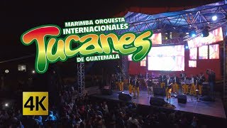 Internacionales Tucanes - Concierto Volando Sin Fronteras 4K
