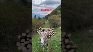 Stani I Mbre Te Gjokones,Gjirokaster