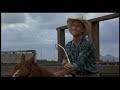 Sylvester (1985) Free Online Movie Sylvester (1985) Free Stream Movie