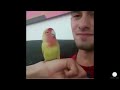 2019 Cutest Baby Animals Ever Video Compilation Funny Cute Baby Animals #2