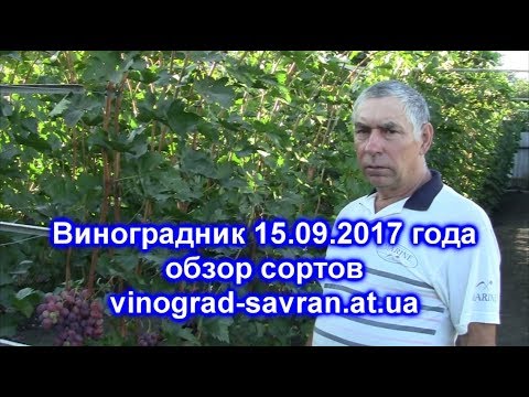 Удобрение от морских птиц сканворд Удобрение от морских птиц сканворд