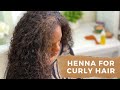 Henna For Hair | Naturally Curly Hair