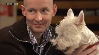 den 11 time TV DR 21