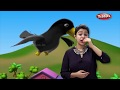 Moral Stories in English For Children | The Thirsty Crow Story in English | Storytelling in English