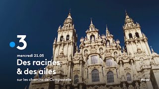 Sur les chemins de Compostelle - Bande-annonce