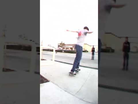 Wes Lott 2001 Classic Skateboarding Shorts