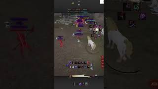 Bdo Succ Ninja Montage