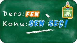 Tonguçla Özel Ders Basınç