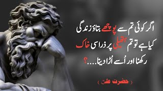 Jo Naseeb Mein Nahi Hota Hazrat Ali Quotes Islamic Motivation Life Changing Quote
