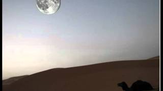 Watch Siouxsie  The Banshees Lunar Camel video