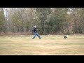 134 yard WORLD RECORD Distance to Canine Catch w/ Davy Whippet & Rob McLeod