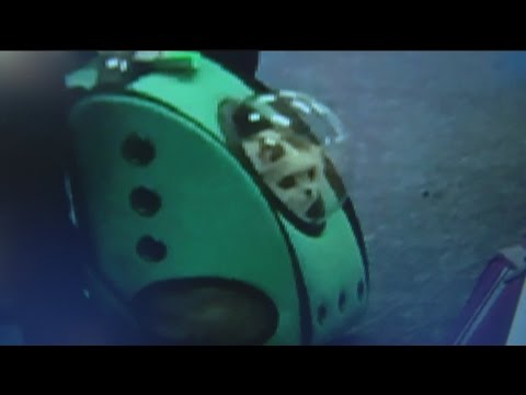 Through Windows Video