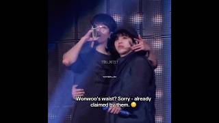Sorry - Wonwoos Waist Is Under Protection