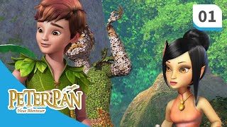 Peter Pan - neue Abenteuer: Staffel 1, Folge 1 