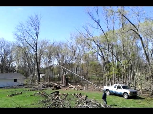 Tree Falls On House - Video