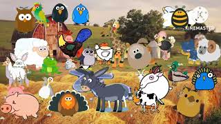 Old Macdonald Had A Farm Animal World Babytv