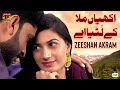 Akhiyan Mila Ke Lutya Ai | Zeeshan Akram | (Official Video) | Thar Production