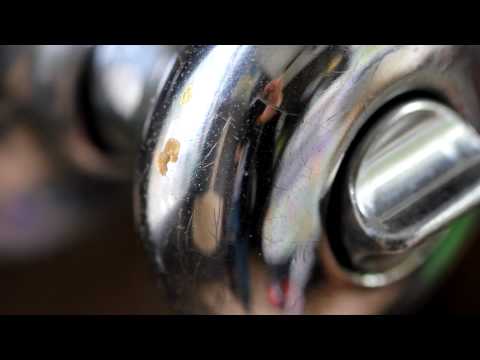 Canon Rebel T2i HD video test canon rebel t2i photo samples. Canon Rebel T2i HD video test