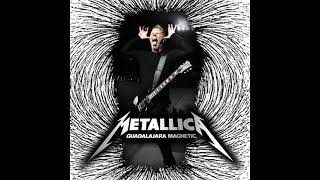 Metallica Live Guadalajara, Mx 03/01/2010 (Full Audio Sbd)