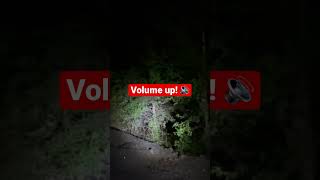 Bigfoot Vocalizations Recorded On Camera Communications Between Multiple Sasquatch