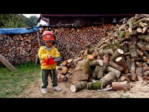What Are You Doing? Video