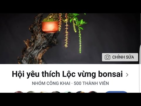 Cách lấy lại tài khoản facebook bị report cho ae