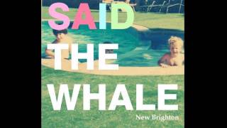 Watch Said The Whale Little Bird video