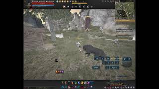 Bdo Awak Tamer Combo Armor Reduction