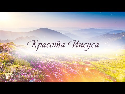 Афоризм шутка дня Афоризм шутка дня