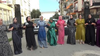 Diyarbakır Grani Halayı Ağır Delilo 2024 / Ahmet Özçelik