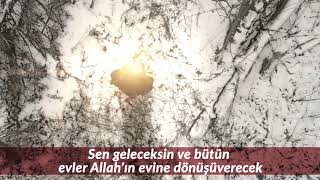 İmam Zaman Ac Kutlu Doğum - Mahmud Kerimi