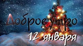 Доброе Утро - Выпуск 47 (12.01.2019)