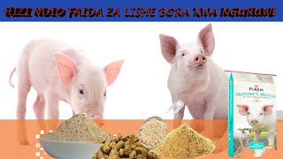 Hizi Hapa Faida Za Lishe Bora Kwa Nguruwe
